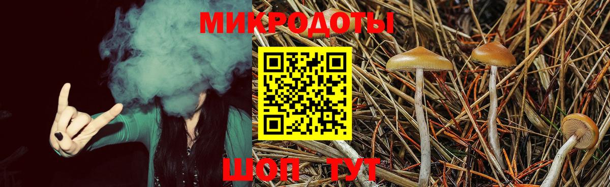 Псилоцибиновые грибы Psilocybe  Вход с VPN  Псилоцибиновые грибы Psilocybe  закладка  Семёнов 